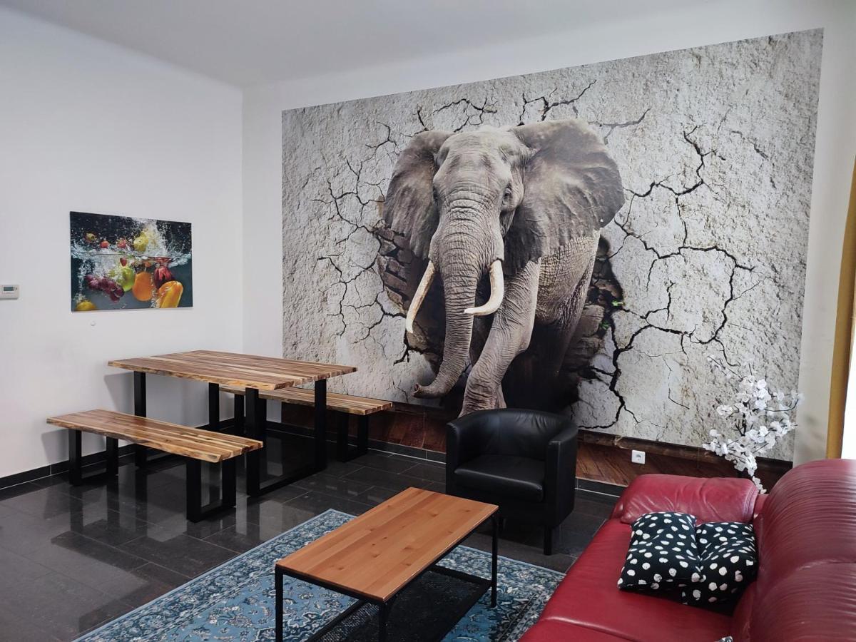 וינה Apartments Near Schoenbrunn Palace מראה חיצוני תמונה